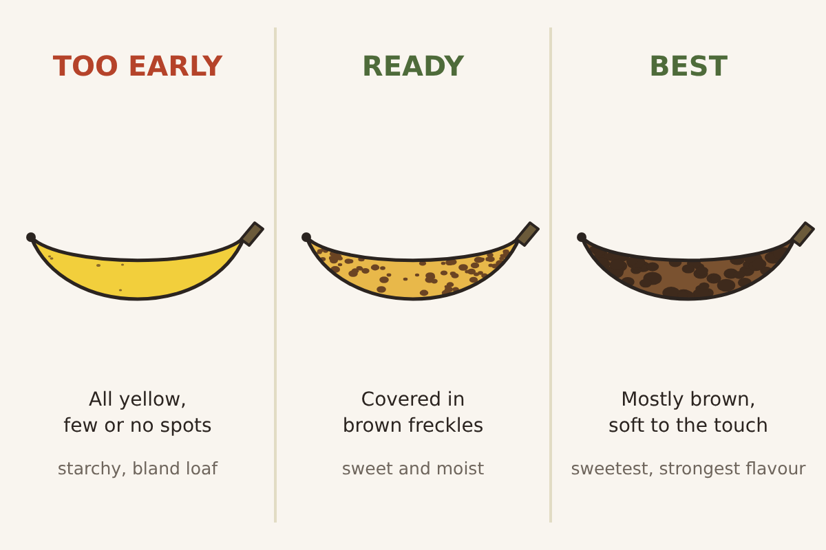 Illustration of three bananas side by side. Labels: too early, all yellow, few or no spots, starchy, bland loaf; ready, covered in brown freckles, sweet and moist; best, mostly brown, soft to the touch, sweetest, strongest flavour.