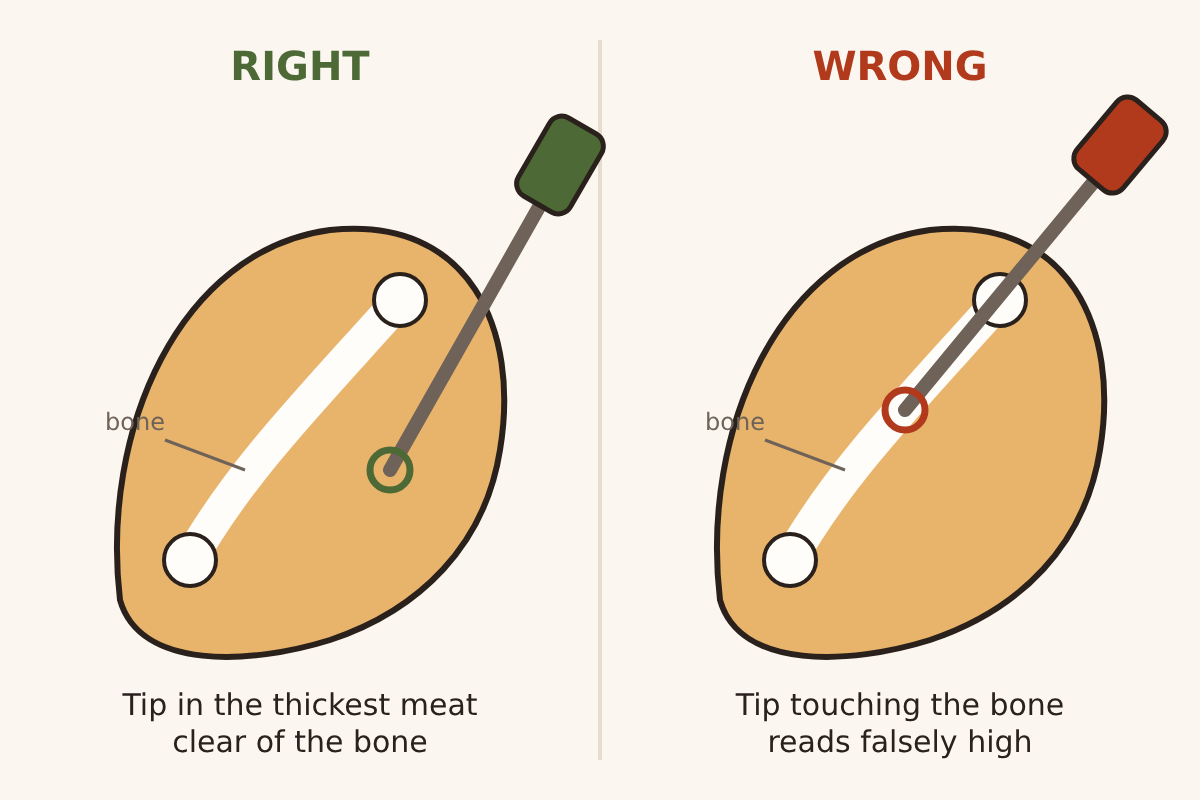 Illustration of a chicken thigh with a thermometer in two positions: right, the tip sits in the thickest meat clear of the bone; wrong, the tip touches the bone and reads falsely high.